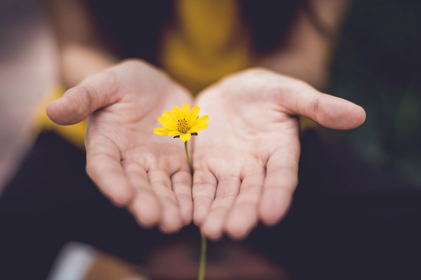 Psicología emocional: claves para tu equilibrio